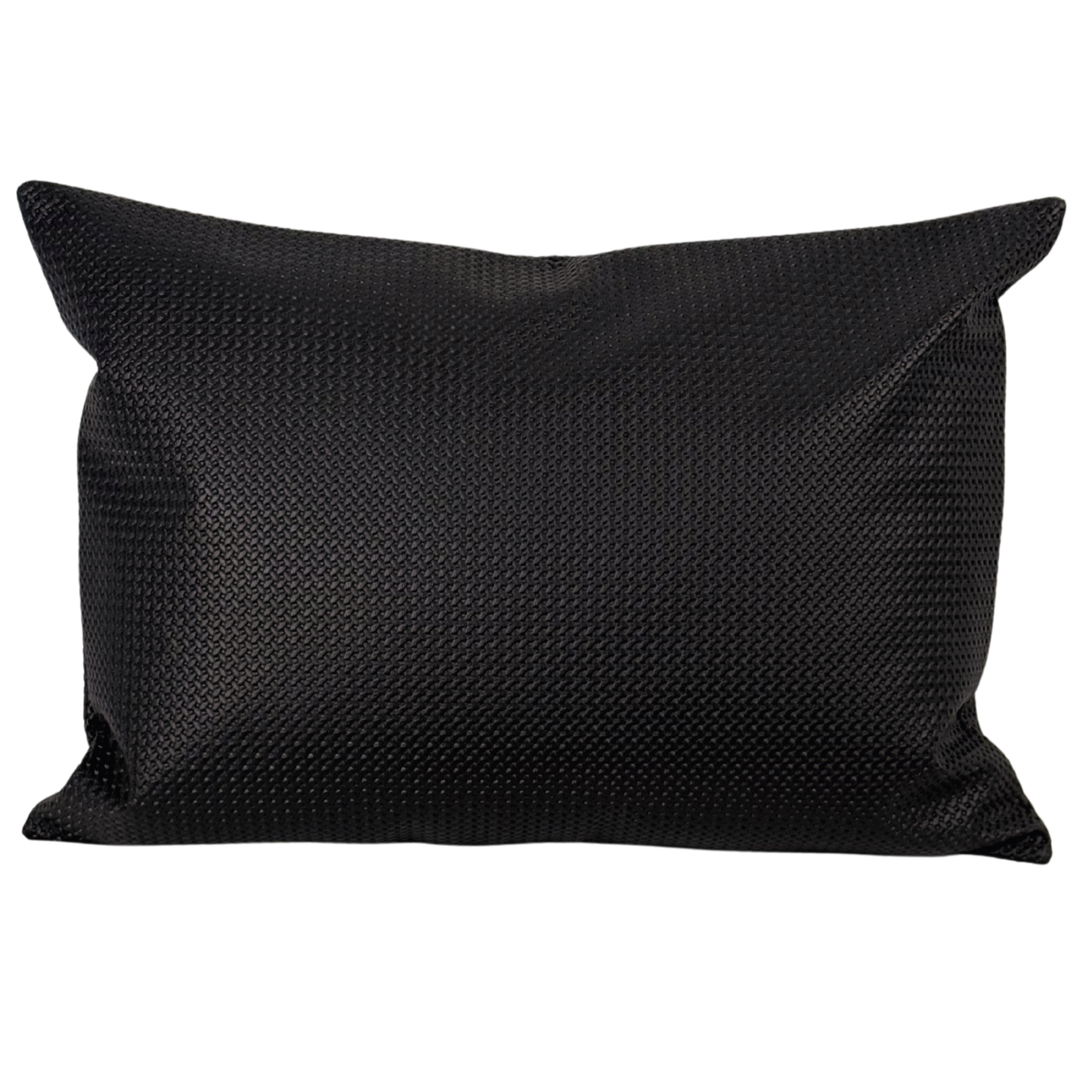 Black Beauty Lumbar Pillow | 14x20"
