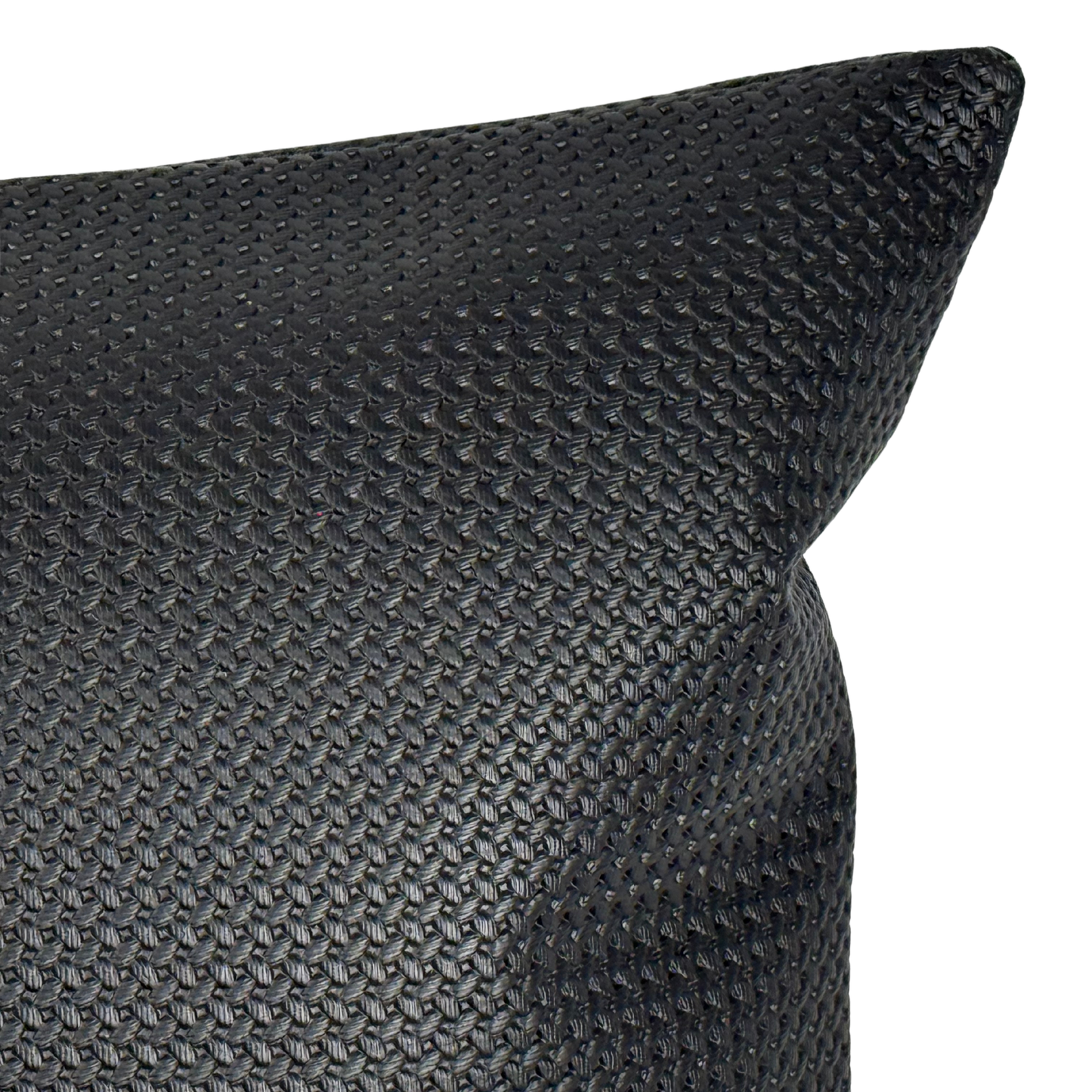 Black Beauty Lumbar Pillow | 14x20"