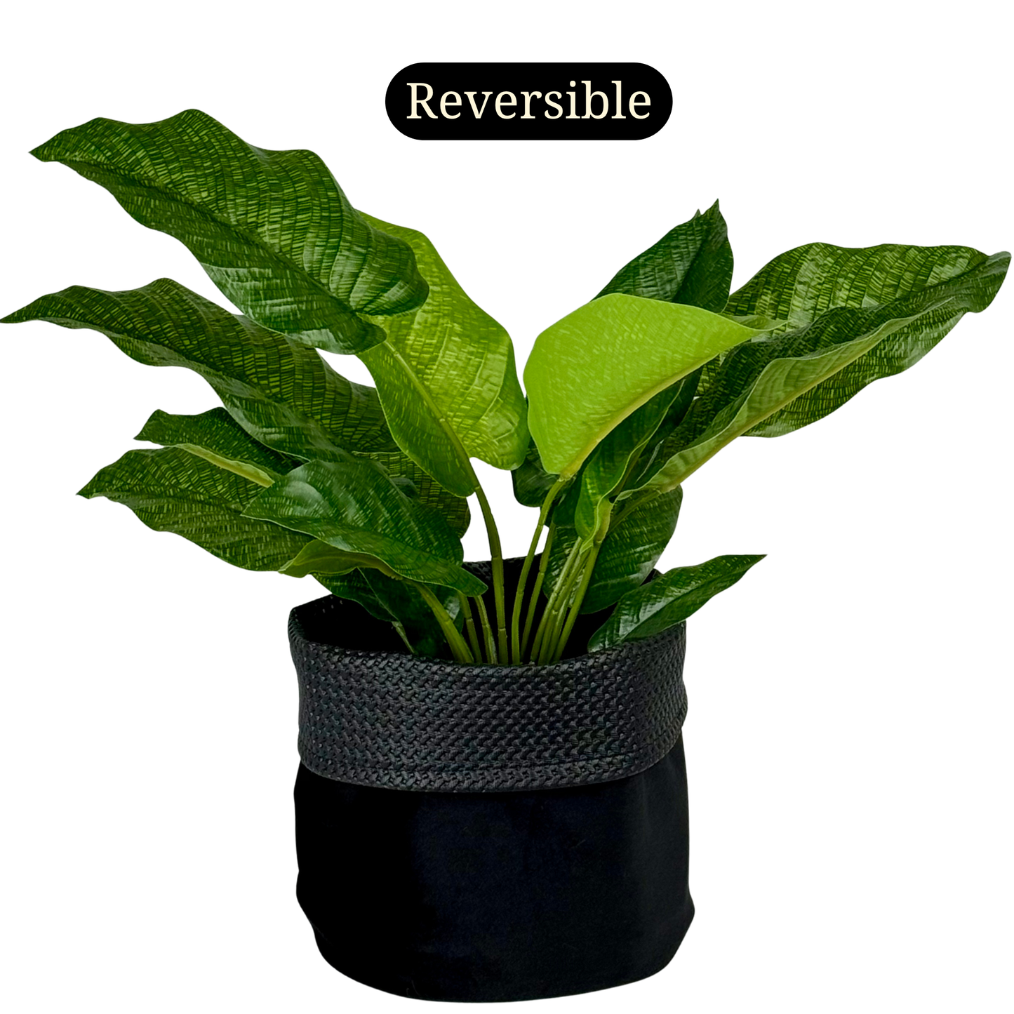 Black Beauty Leatherette Planter