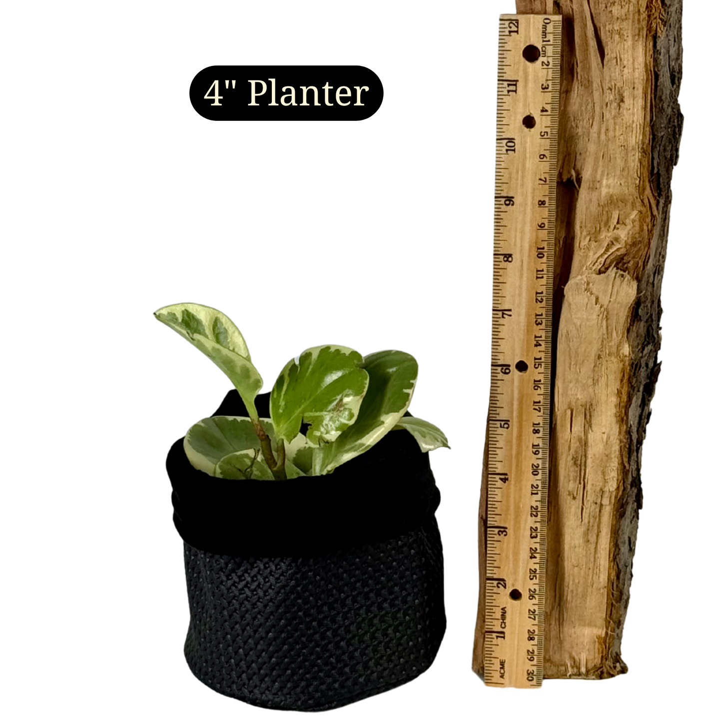 Black Beauty Leatherette Planter