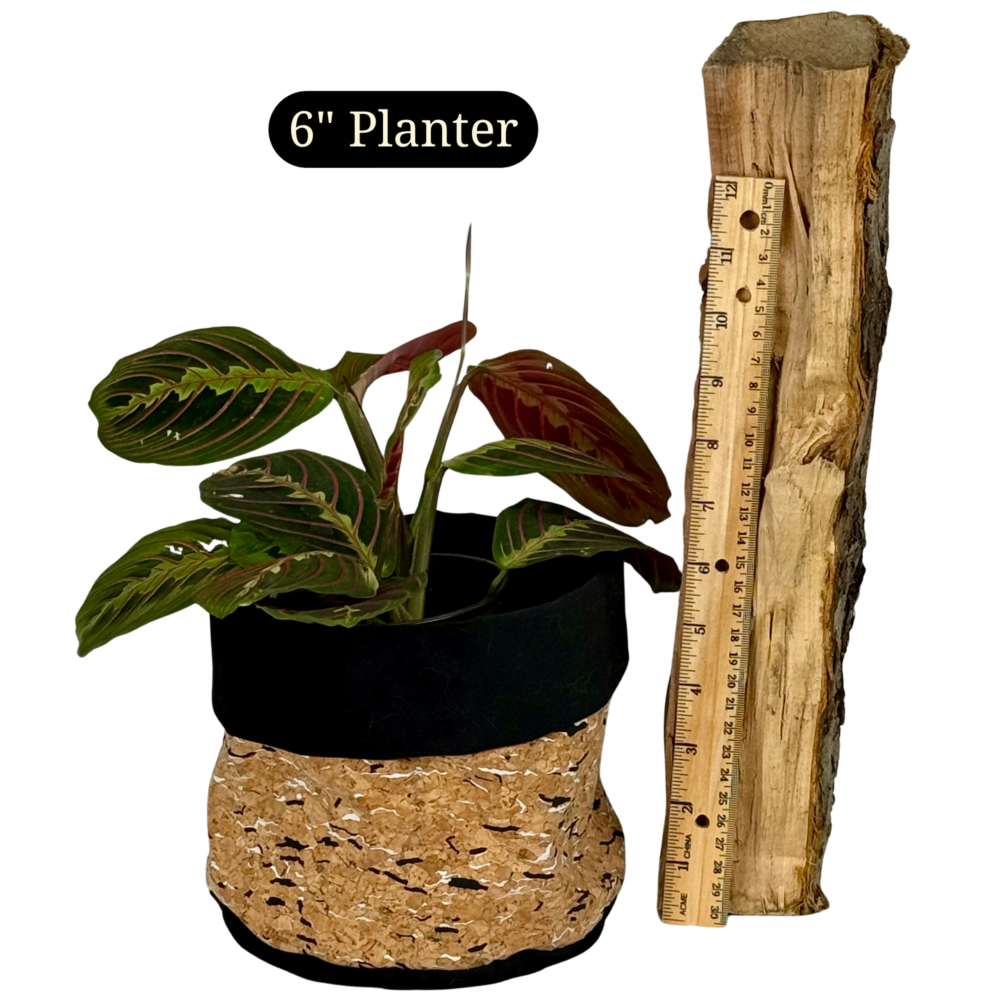 Corky Fabric Planter