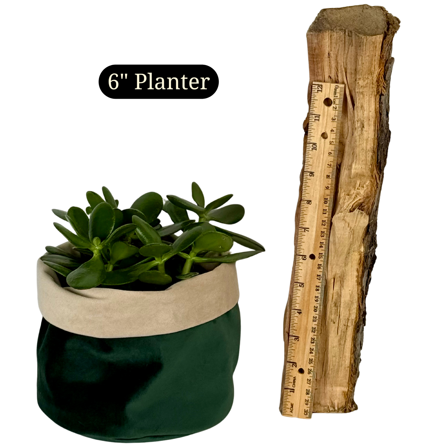 Jaded Velvet Planter