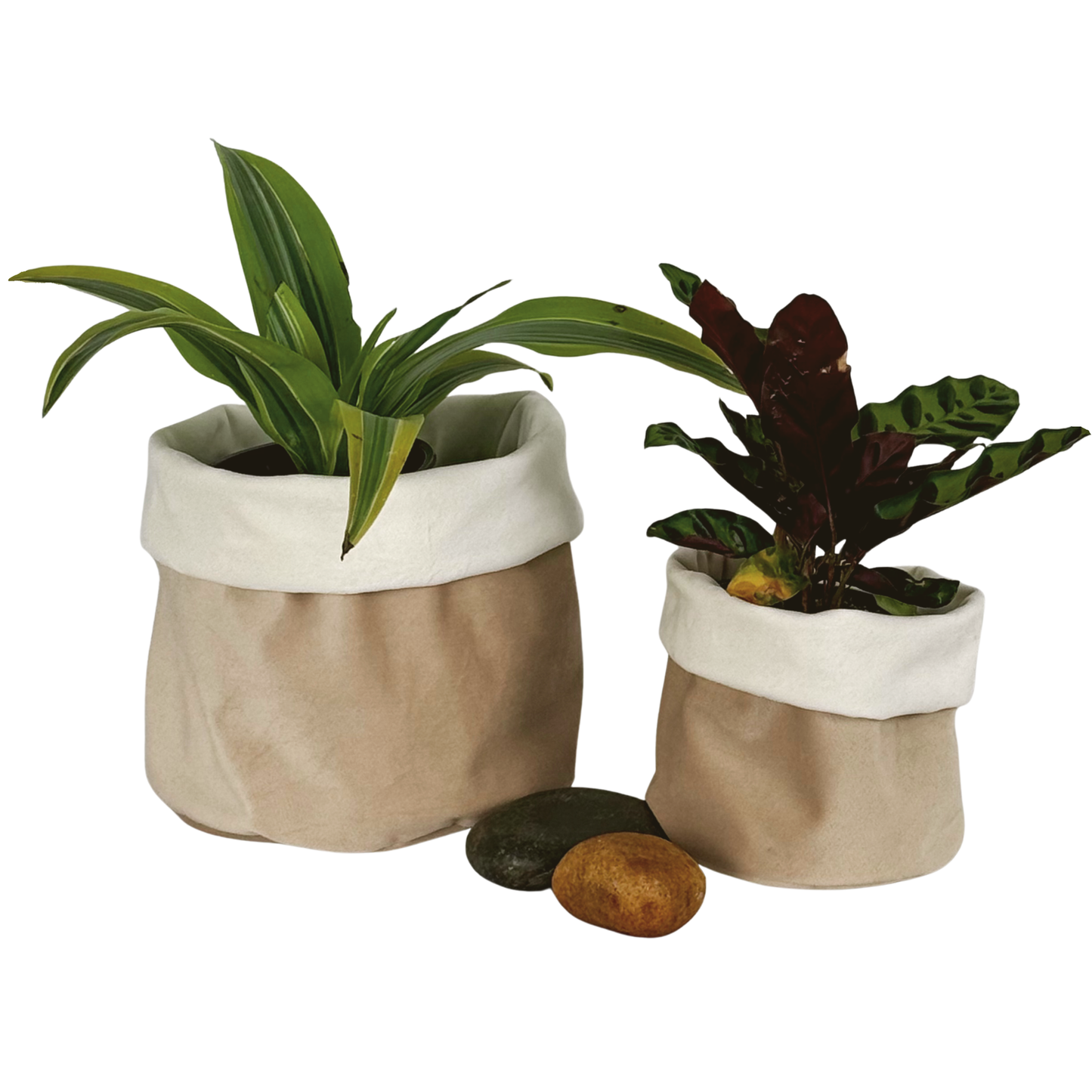 Paper Bag Velvet Planter