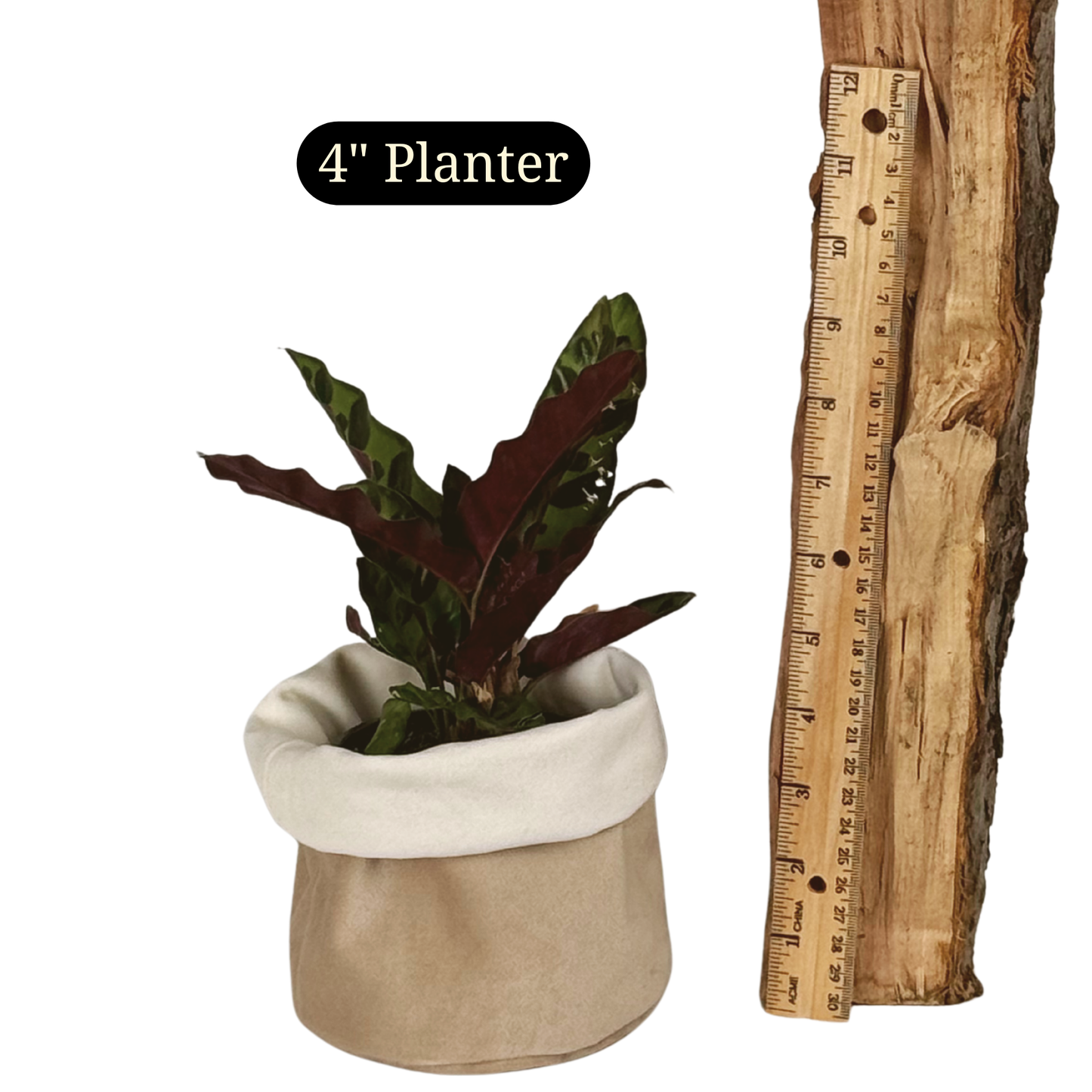 Paper Bag Velvet Planter
