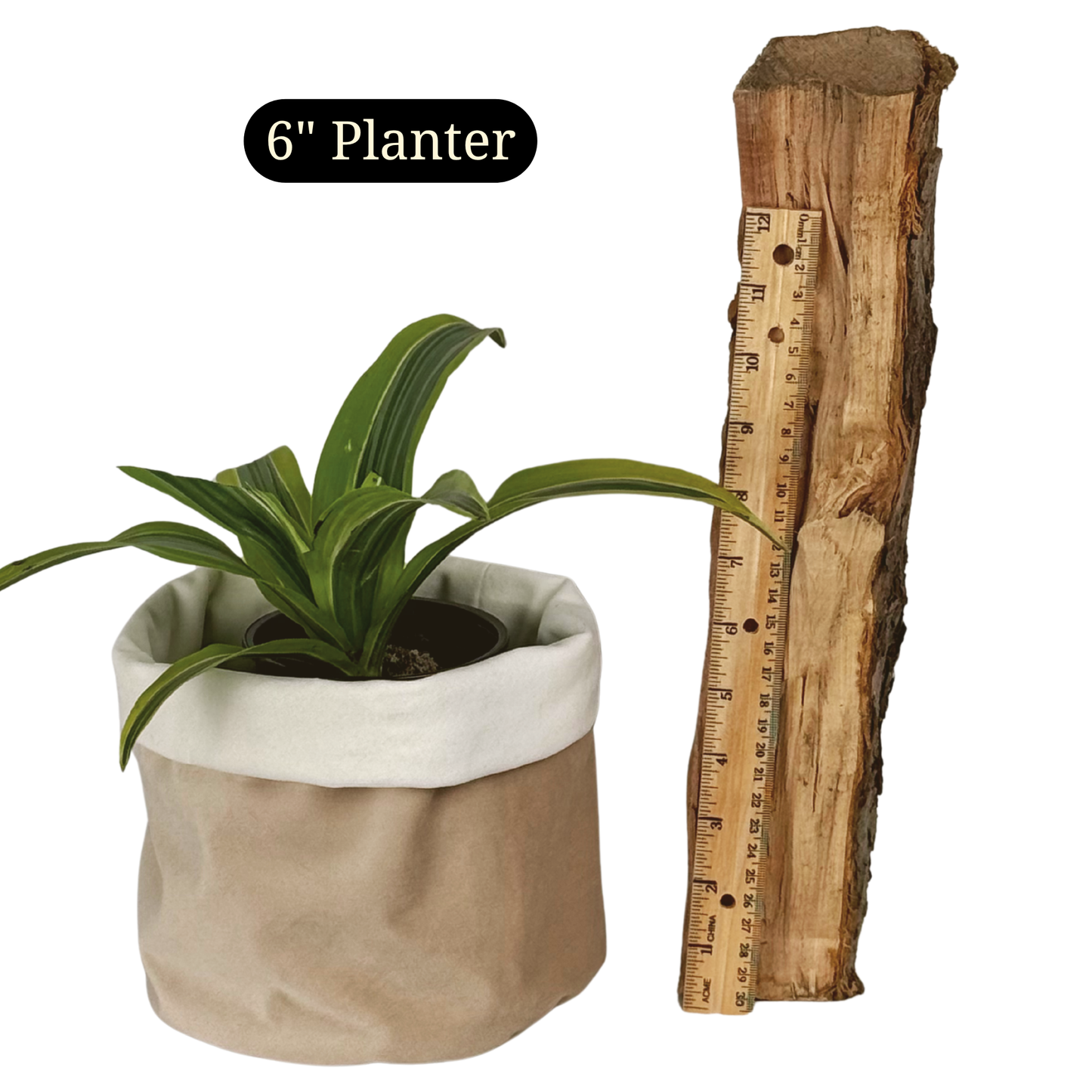 Paper Bag Velvet Planter