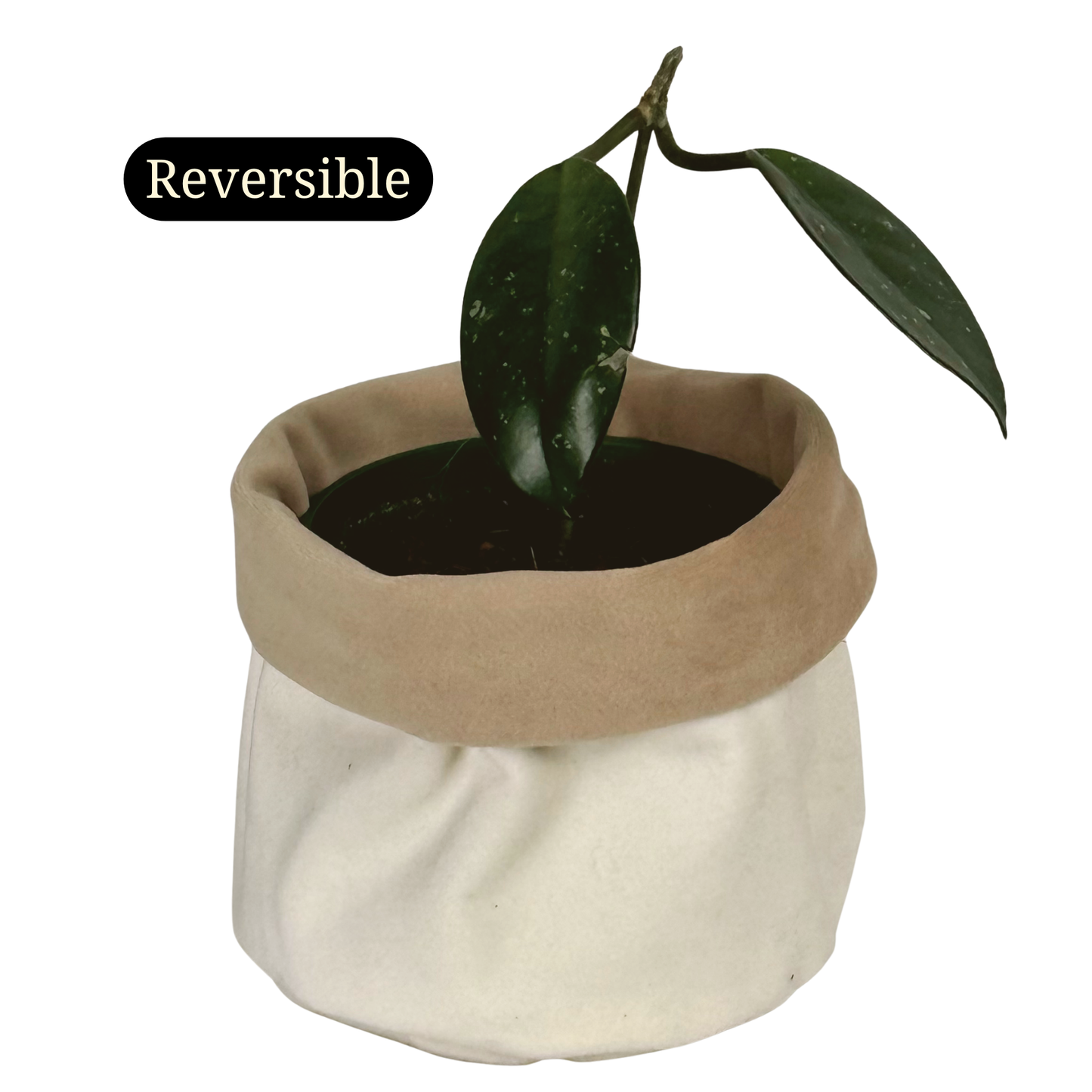 Paper Bag Velvet Planter