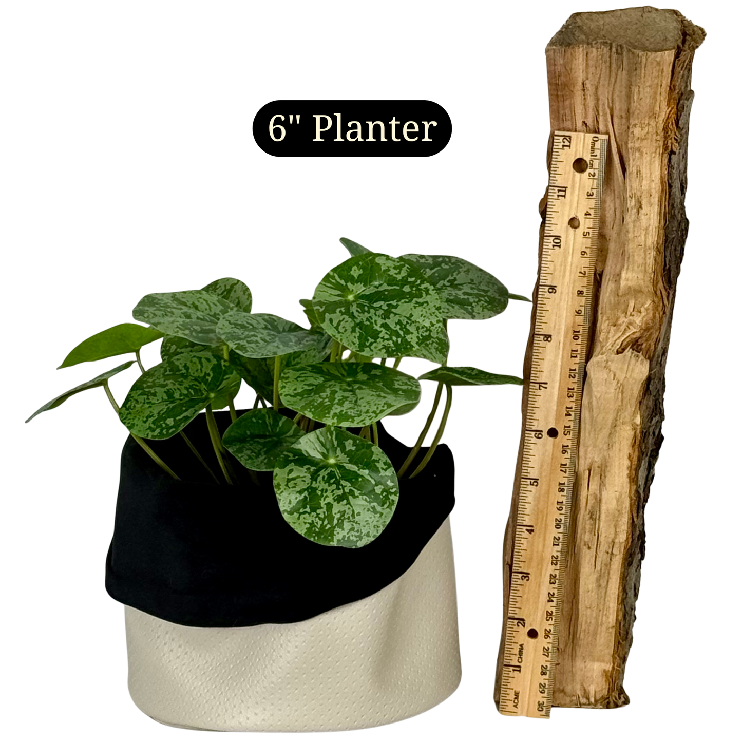 Sand Storm Leatherette Planter
