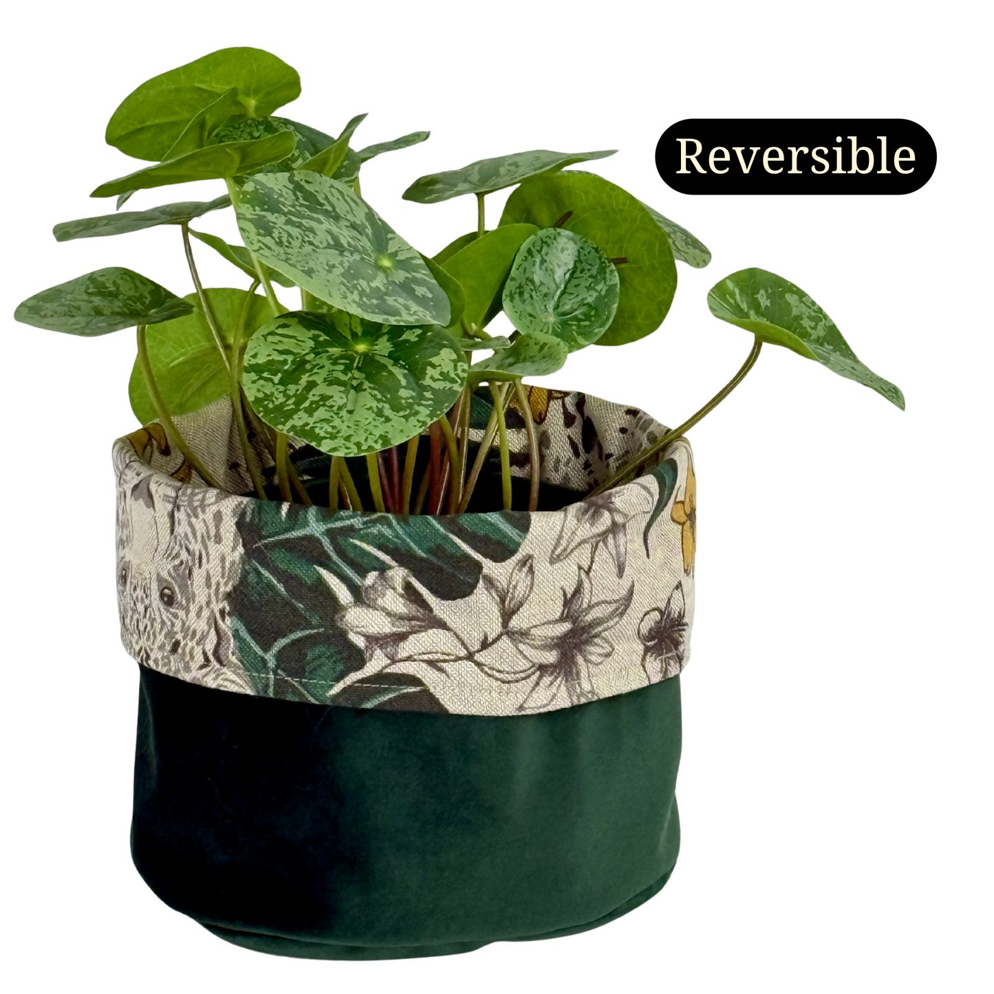 Wild! Fabric Planter