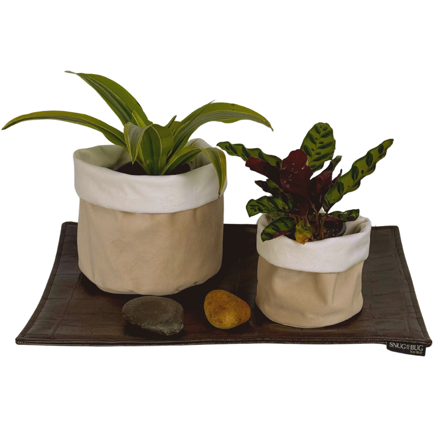 Crocodile Plant Mat | 12x18"
