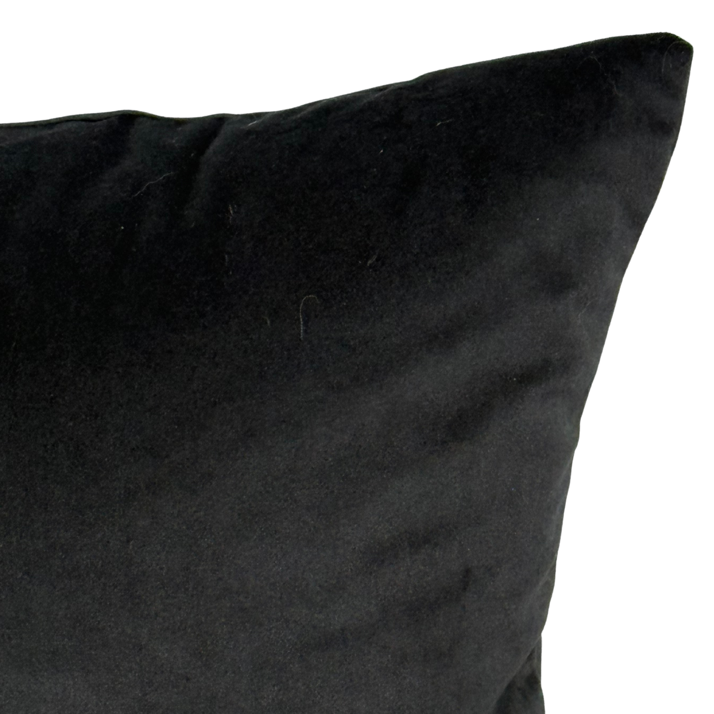 Black Velvet Pillow | 20x20"