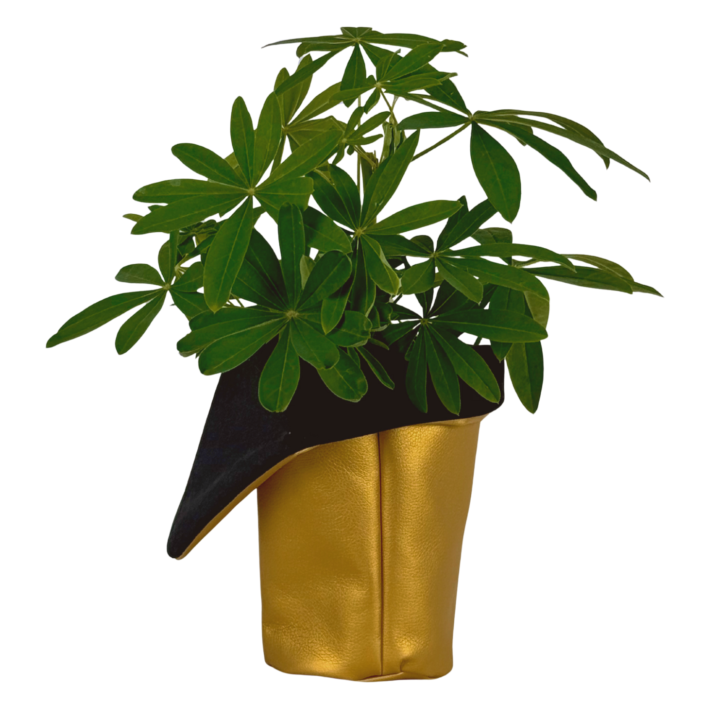 Shard Vase | Gold with Black