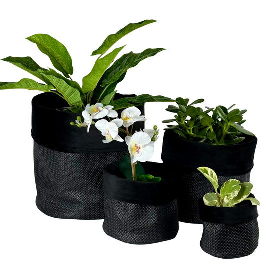 Black Beauty Leatherette Planter
