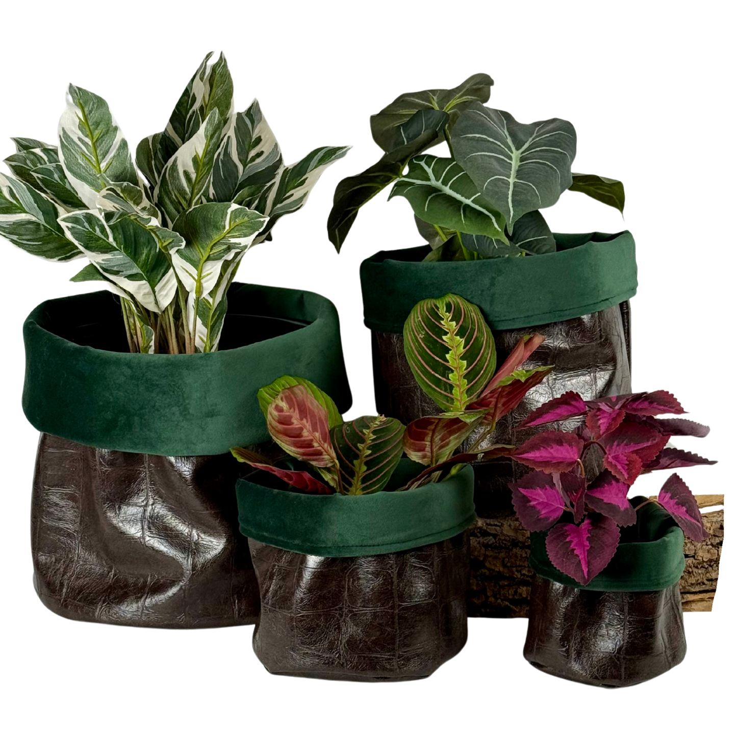 Crocodile Leatherette Planter