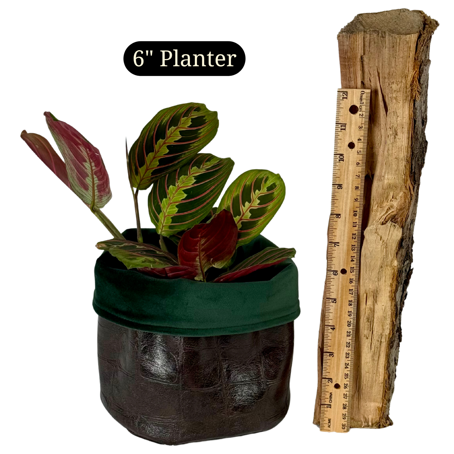 Crocodile Leatherette Planter