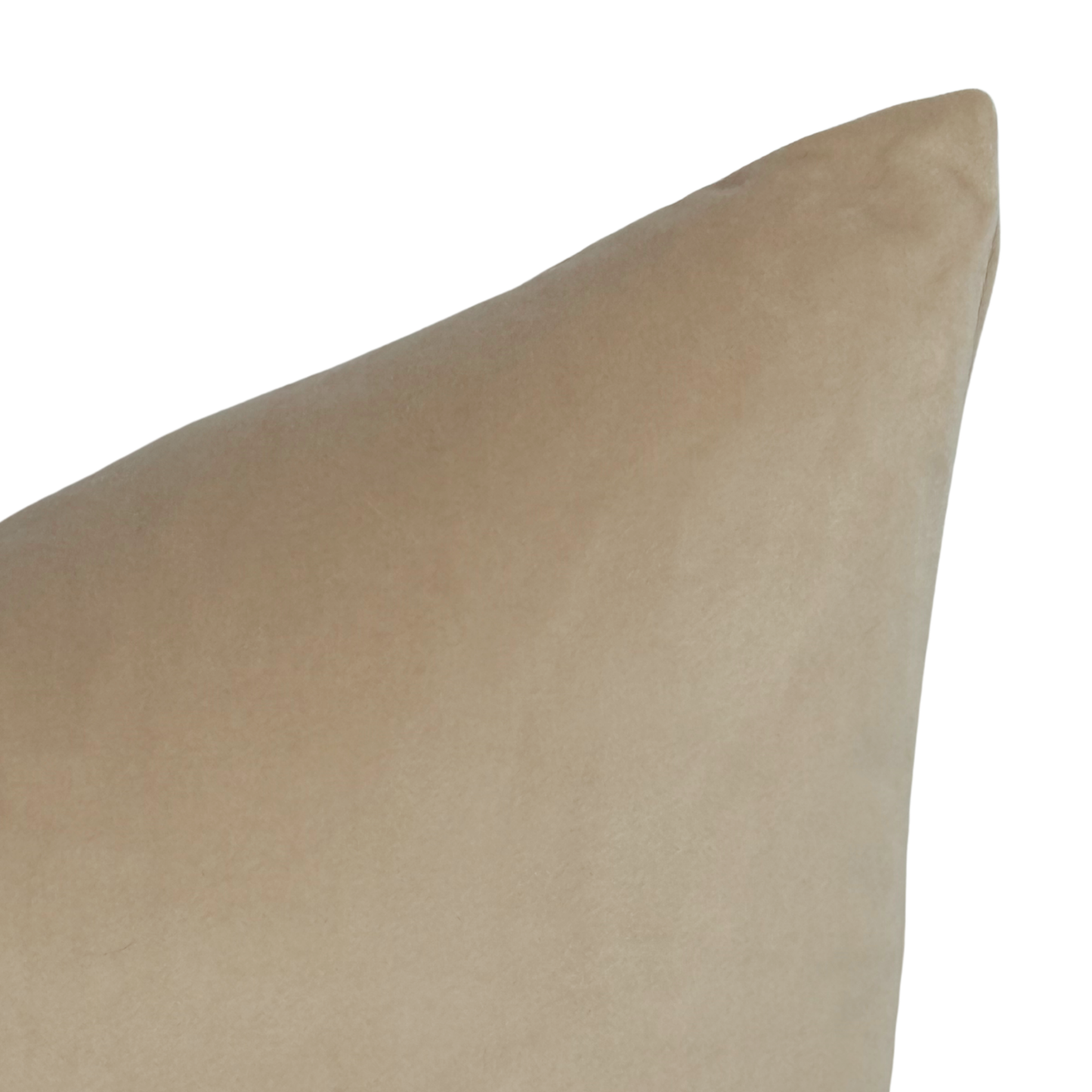 Sand Velvet Pillow | 20x20"