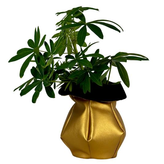 Bubble Vase | Gold with Black
